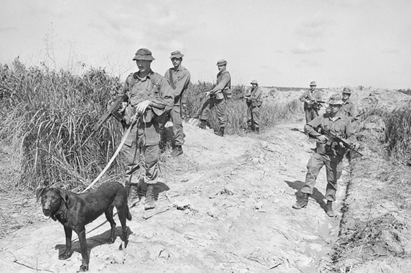 Tracker dog Milo leading the tracker team of 2RAR /NZ (ANZAC) on patrol from Fire Support Base Tess near Nui Dat, Vietnam, in 1970