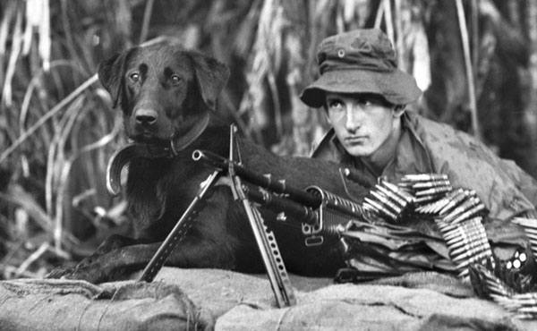 Military working dogs