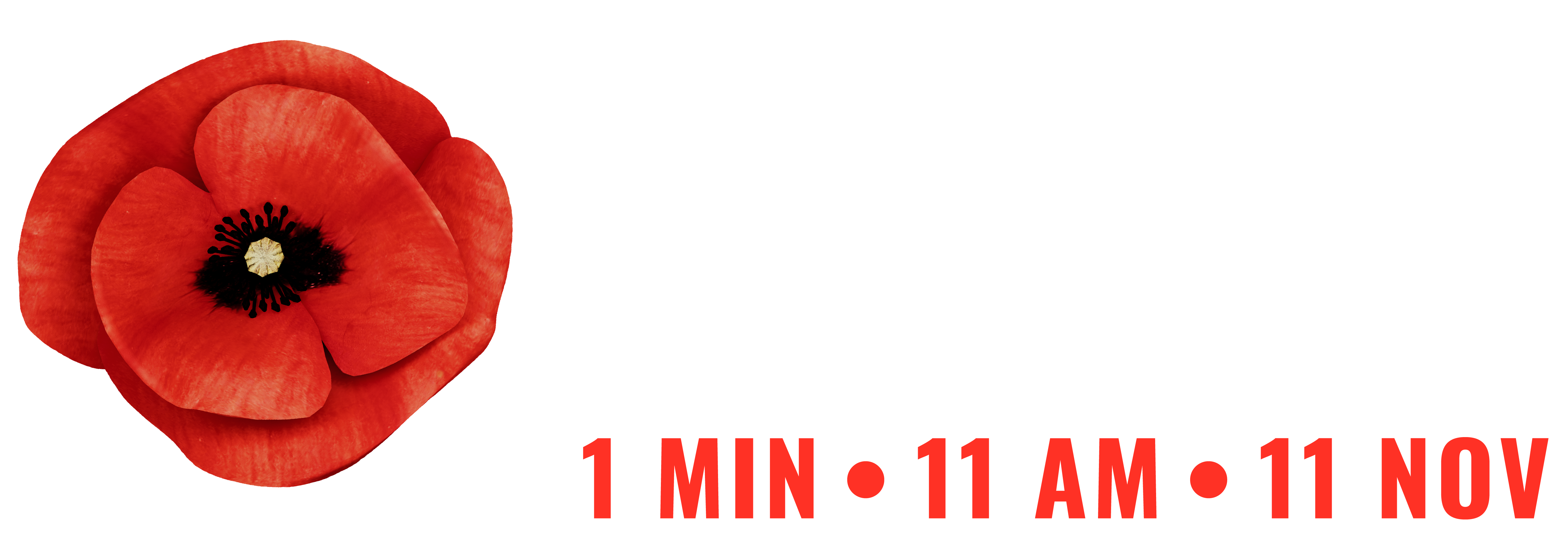 Remember to Remember with poppy