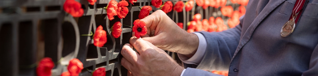 Person adding a red poppy to a poppy wall. 