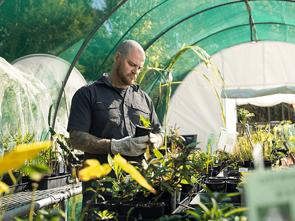 Dig In Health Co Mat Stansbury